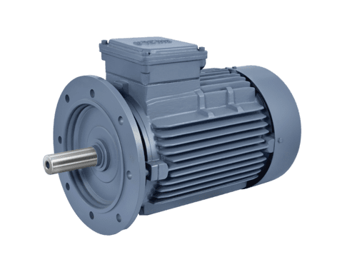Flange Mounting Motor